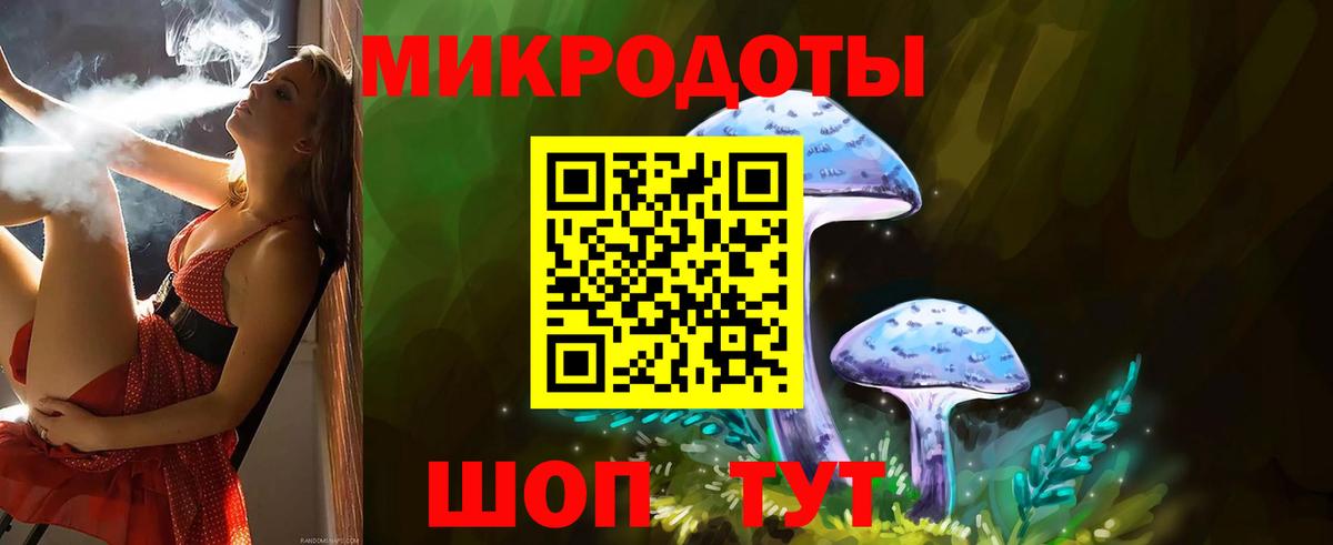 Псилоцибиновые грибы Psilocybe Благовещенск